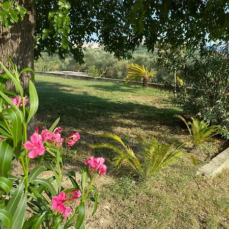 Casale Le Casole Affitta Nel Cuore Dell'umbria *