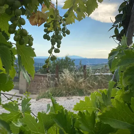 Casale Le Casole Affitta Nel Cuore Dell'umbria Pensjonat