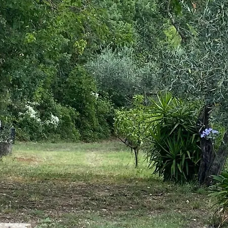 Casale Le Casole Affitta Nel Cuore Dell'umbria Otricoli