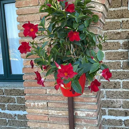 Casale Le Casole Affitta Nel Cuore Dell'umbria Otricoli