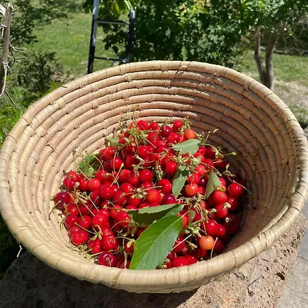Casale Le Casole Affitta Nel Cuore Dell'umbria Pensjonat