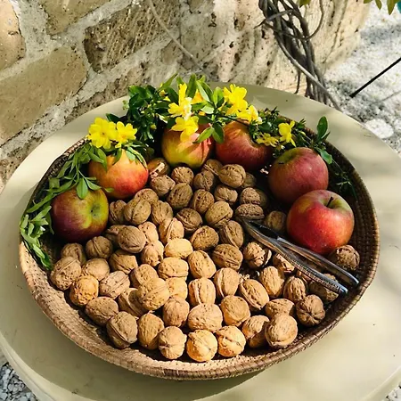 Pensjonat Casale Le Casole Affitta Nel Cuore Dell'umbria *